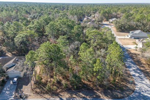 Land in Homosassa, Florida № 2097625 - photo 8