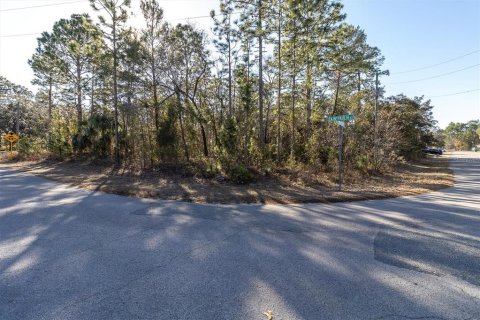 Land in Homosassa, Florida № 2097625 - photo 2