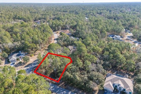 Land in Homosassa, Florida № 2097625 - photo 9