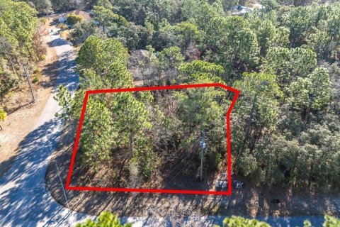 Land in Homosassa, Florida № 2097625