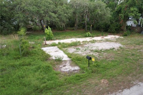Land in New Port Richey, Florida № 2164596 - photo 3
