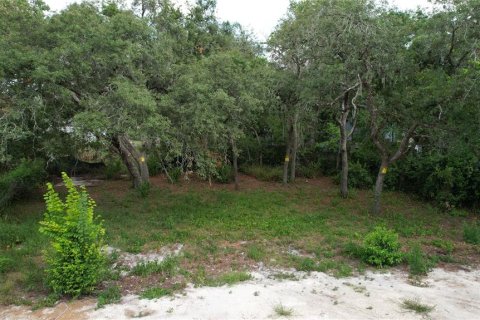 Land in New Port Richey, Florida № 2164596 - photo 4