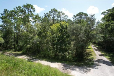 Land in Webster, Florida № 2352404