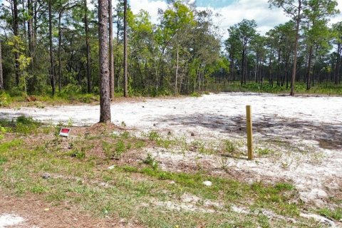 Terreno en venta en Weeki Wachee, Florida № 1618335 - foto 11