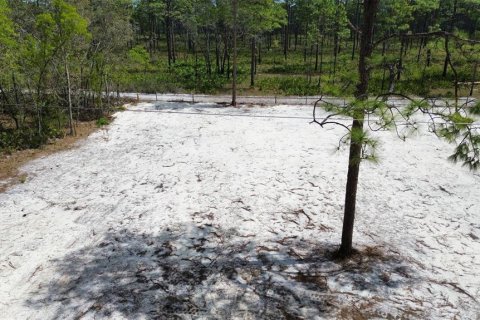 Terreno en venta en Weeki Wachee, Florida № 1618335 - foto 12