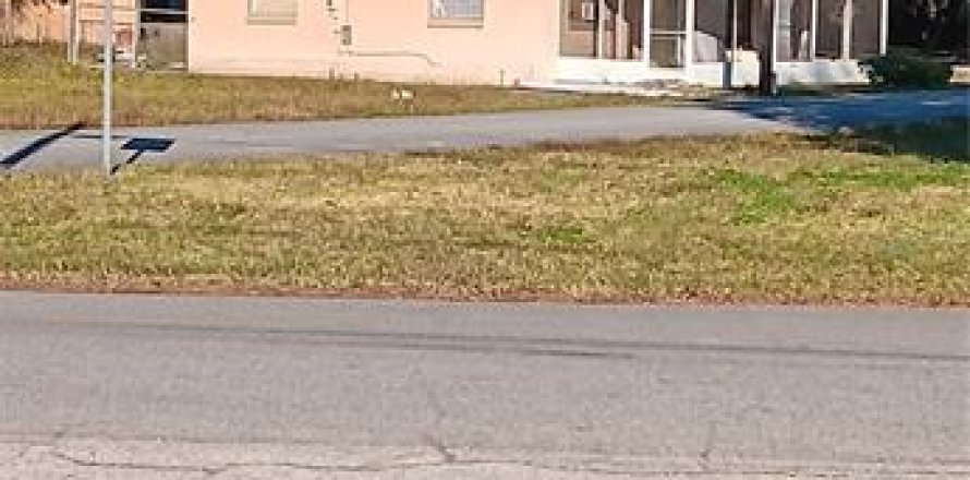 House in Lake Panasoffkee, Florida 1 bedroom, 83.61 sq.m. № 1829129