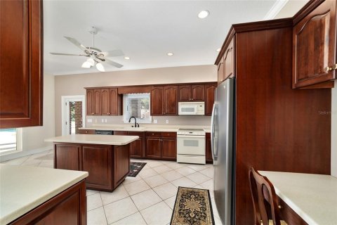 Villa ou maison à vendre à Ocala, Floride: 4 chambres, 389.35 m2 № 2096274 - photo 12