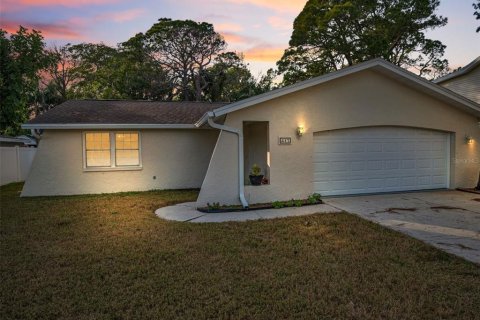 Villa ou maison à Tarpon Springs, Floride 3 chambres, 166.95 m2 № 2122293