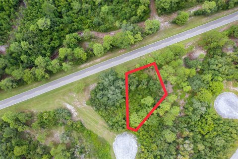 Land in Kissimmee, Florida № 1352618 - photo 3