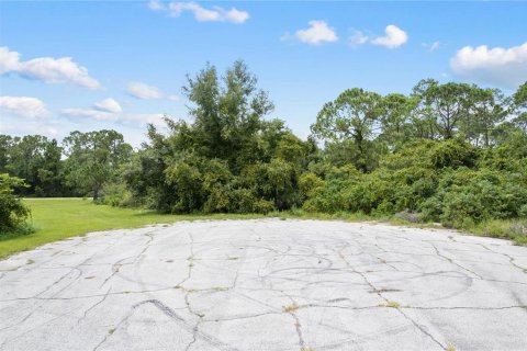 Land in Kissimmee, Florida № 1352618 - photo 15