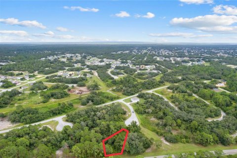 Land in Kissimmee, Florida № 1352618 - photo 5