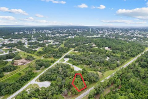 Land in Kissimmee, Florida № 1352618 - photo 6