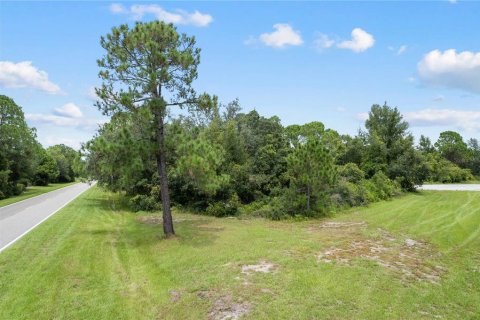 Land in Kissimmee, Florida № 1352618 - photo 14