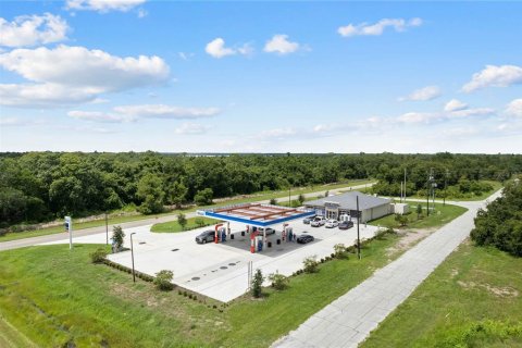 Land in Kissimmee, Florida № 1352618 - photo 19