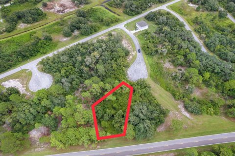 Land in Kissimmee, Florida № 1352618 - photo 4