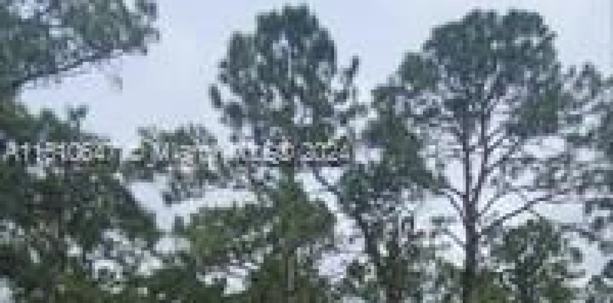 Land in Lehigh Acres, Florida № 1935103