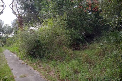 Land in Mims, Florida № 2108375 - photo 3