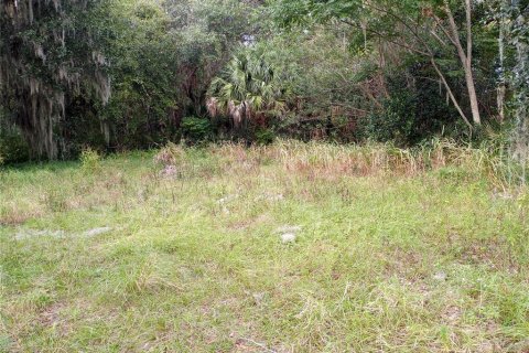 Land in Mims, Florida № 2108375 - photo 2