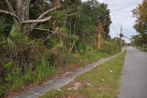 Terrain à Mims, Floride № 2108375