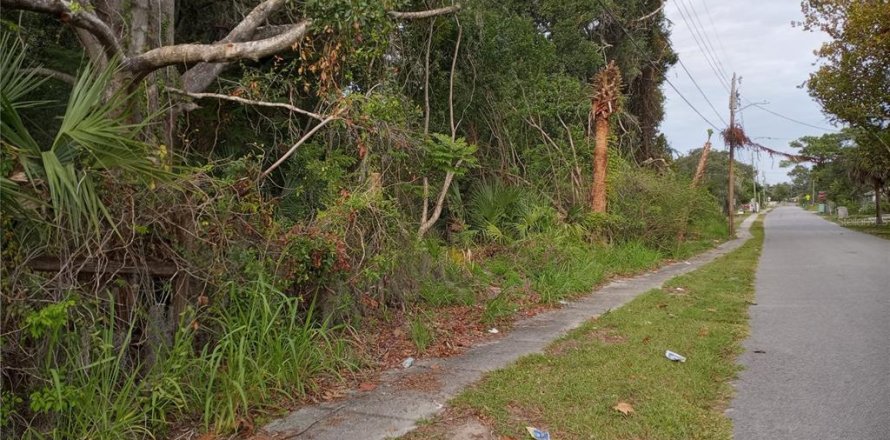Land in Mims, Florida № 2108375