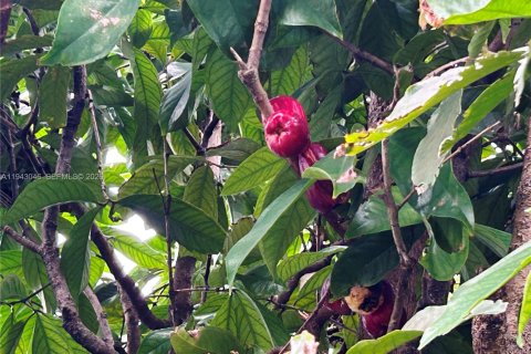 Villa ou maison à vendre à Tamarac, Floride: 2 chambres, 146.69 m2 № 1999397 - photo 23