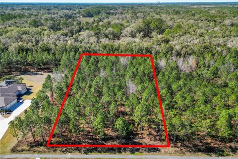 Terreno en venta en Newberry, Florida № 214075 - foto 2