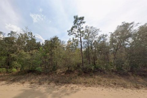 Land in Interlachen, Florida № 2165031