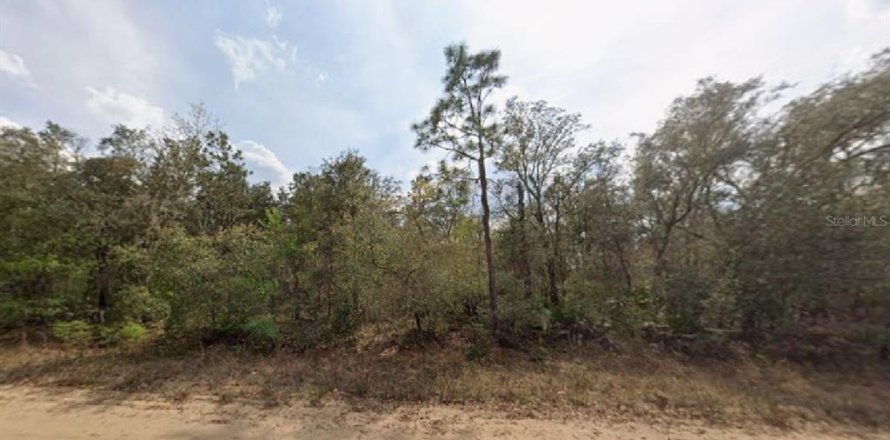 Land in Interlachen, Florida № 2165031