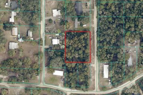 Land in Silver Springs Shores, Florida № 2164605 - photo 4