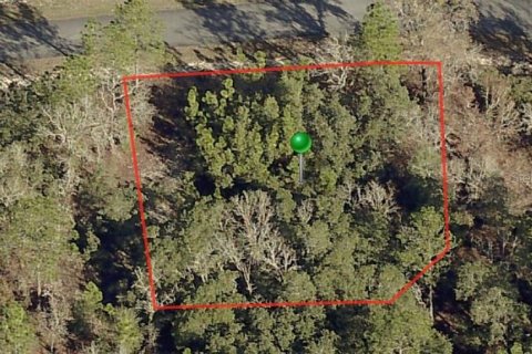 Land in Citrus Springs, Florida № 2223946 - photo 2