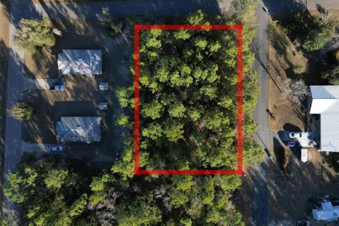 Land in Inverness, Florida № 2161637 - photo 5