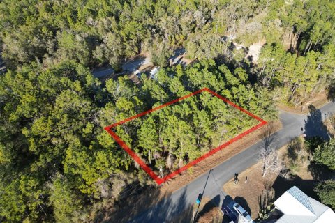 Land in Inverness, Florida № 2161637 - photo 2