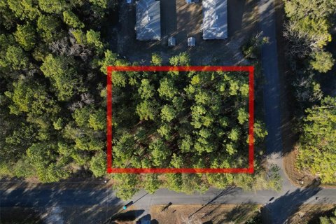 Land in Inverness, Florida № 2161637 - photo 3