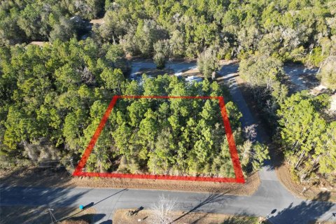 Land in Inverness, Florida № 2161637