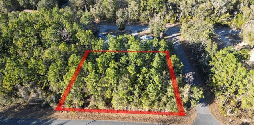 Land in Inverness, Florida № 2161637