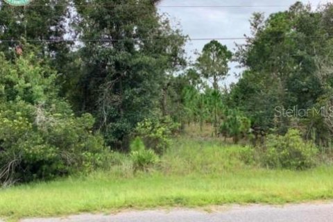 Land in Orlando, Florida № 288544 - photo 3
