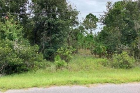 Land in Orlando, Florida № 288544 - photo 1