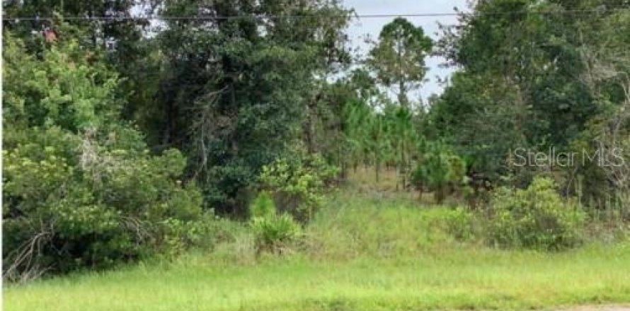 Land in Orlando, Florida № 288544