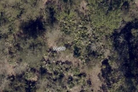 Land in Orlando, Florida № 288544 - photo 5