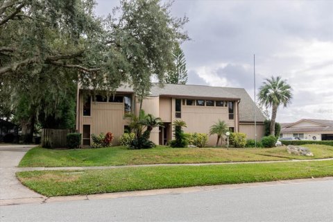 Villa ou maison à vendre à Tampa, Floride: 6 chambres, 418.25 m2 № 2205291 - photo 3
