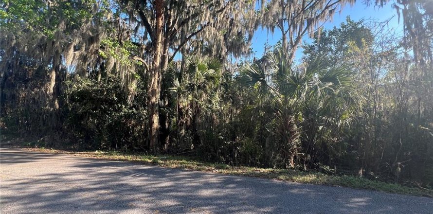 Terrain à Ocala, Floride № 1615489