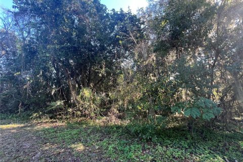 Terrain à vendre à Ocala, Floride № 1615489 - photo 4