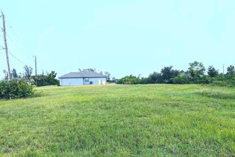 Terrain à vendre à Cape Coral, Floride № 2158092 - photo 2