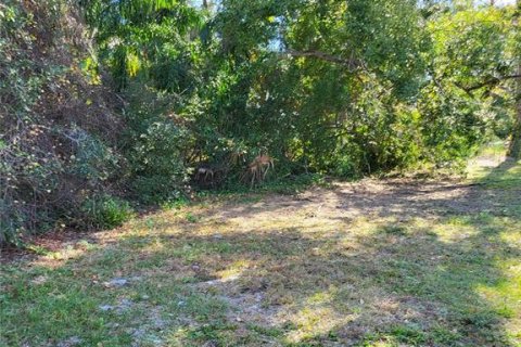 Land in Clearwater, Florida № 1809986 - photo 10