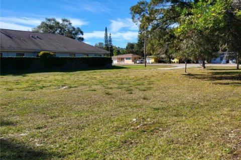 Land in Clearwater, Florida № 1809986 - photo 9