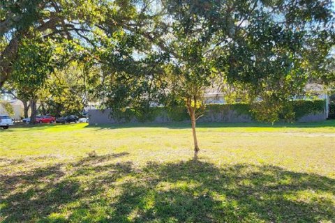 Land in Clearwater, Florida № 1809986 - photo 12
