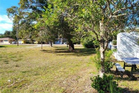 Land in Clearwater, Florida № 1809986 - photo 2