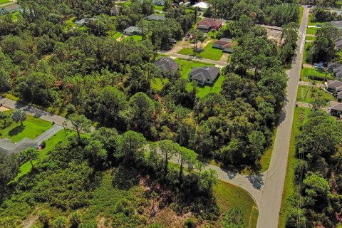 Land in North Port, Florida № 2164316 - photo 5
