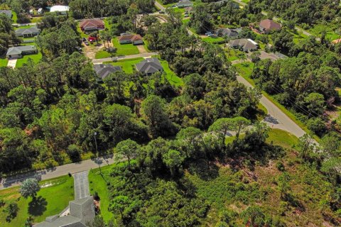 Land in North Port, Florida № 2164316 - photo 7