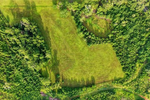 Terreno en venta en Williston, Florida № 2277169 - foto 3